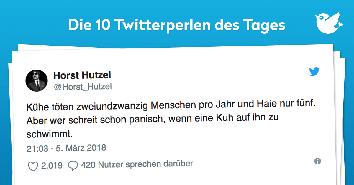 Kühe töten zweiundzwanzig Menschen pro Jahr und Haie nur fünf. Aber wer schreit schon panisch, wenn eine Kuh auf ihn zu schwimmt.