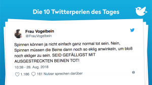 Spinnen können ja nicht einfach ganz normal tot sein. Nein, Spinnen müssen die Beine dann noch so eklig anwinkeln, um bloß noch ekliger zu sein. SEID GEFÄLLIGST MIT AUSGESTRECKTEN BEINEN TOT!