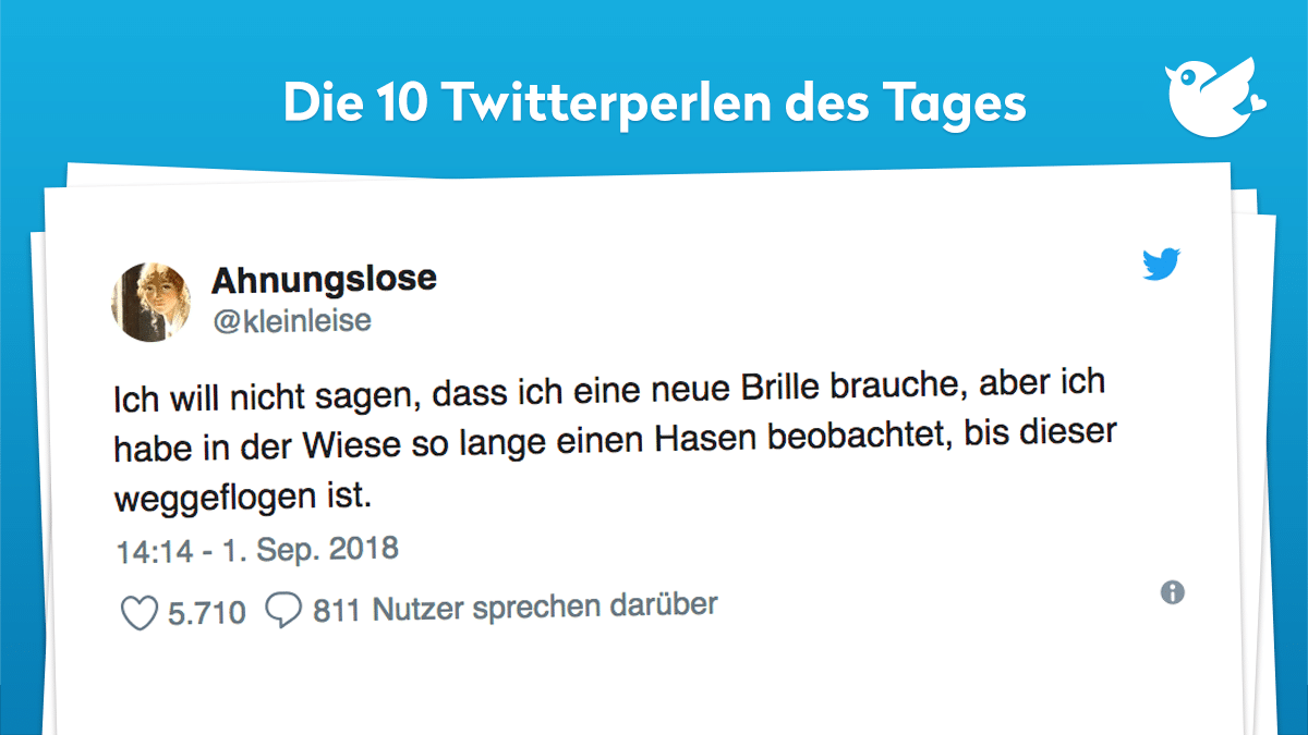 Ich will nicht sagen, dass ich eine neue Brille brauche, aber ich habe in der Wiese so lange einen Hasen beobachtet, bis dieser weggeflogen ist.