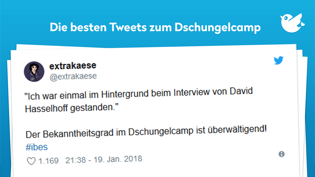 Dschungelcamp: "Ich war einmal im Hintergrund beim Interview von David Hasselhoff gestanden." Der Bekanntheitsgrad im Dschungelcamp ist überwältigend! #ibes