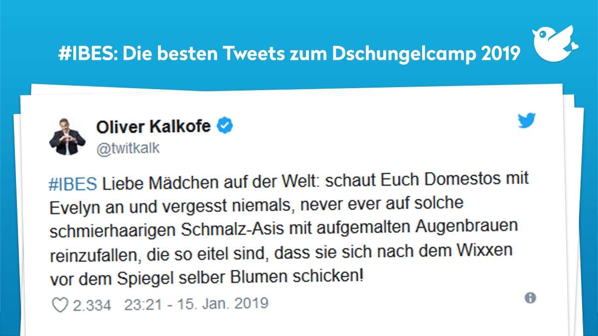 Dschungelcamp 2019: #IBES Liebe Mädchen auf der Welt: schaut Euch Domestos mit Evelyn an und vergesst niemals, never ever auf solche schmierhaarigen Schmalz-Asis mit aufgemalten Augenbrauen reinzufallen, die so eitel sind, dass sie sich nach dem Wixxen vor dem Spiegel selber Blumen schicken!