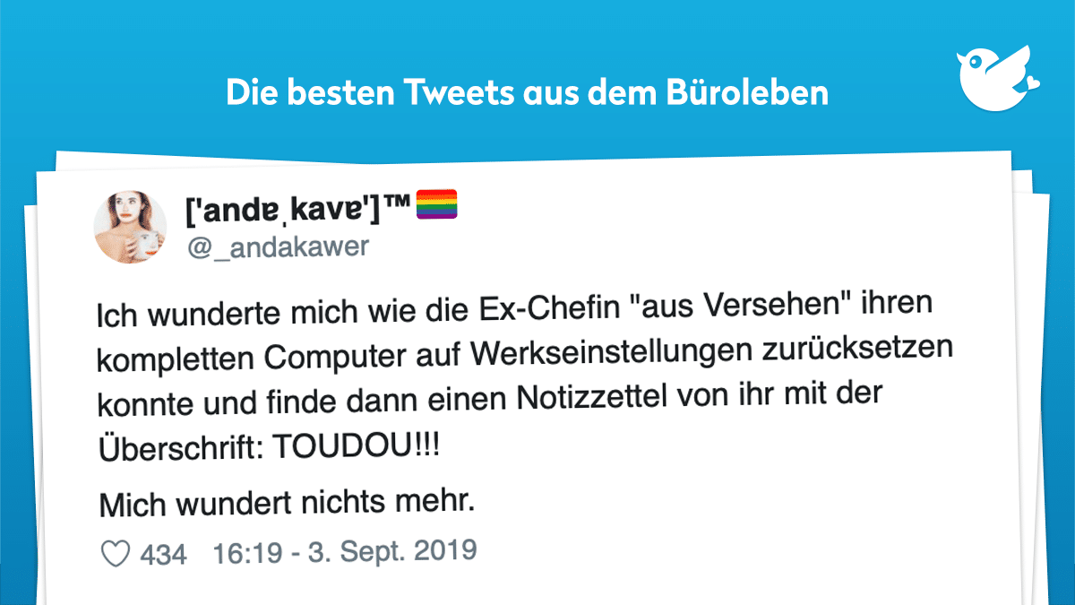 Ich wunderte mich wie die Ex-Chefin "aus Versehen" ihren kompletten Computer auf Werkseinstellungen zurücksetzen konnte und finde dann einen Notizzettel von ihr mit der Überschrift: TOUDOU!!! Mich wundert nichts mehr.