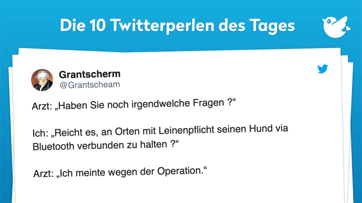 Arzt: „Haben Sie noch irgendwelche Fragen ?“ Ich: „Reicht es, an Orten mit Leinenpflicht seinen Hund via Bluetooth verbunden zu halten ?“ Arzt: „Ich meinte wegen der Operation.“