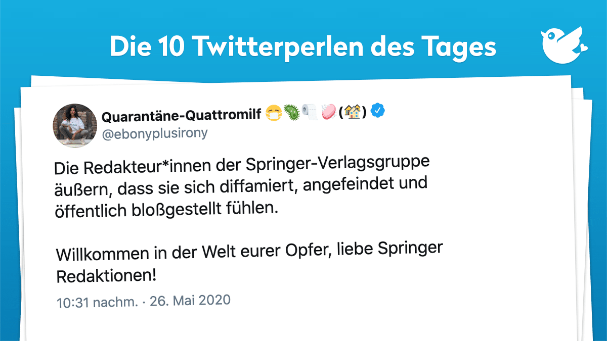 Die Redakteur*innen der Springer-Verlagsgruppe äußern, dass sie sich diffamiert, angefeindet und öffentlich bloßgestellt fühlen. Willkommen in der Welt eurer Opfer, liebe Springer Redaktionen!