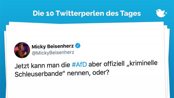 Twitterperlen des Tages: Jetzt kann man die #AfD aber offiziell „kriminelle Schleuserbande“ nennen, oder?