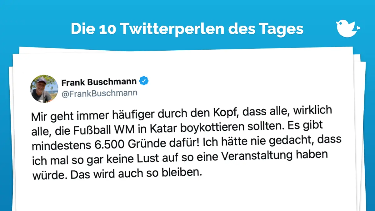 Mir geht immer häufiger durch den Kopf, dass alle, wirklich alle, die Fußball WM in Katar boykottieren sollten. Es gibt mindestens 6.500 Gründe dafür! Ich hätte nie gedacht, dass ich mal so gar keine Lust auf so eine Veranstaltung haben würde. Das wird auch so bleiben.