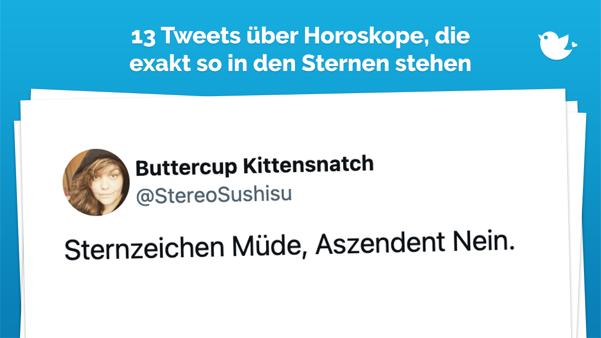 Wenn ihr Widder, Stier oder Zwillinge seid, dann wird euch dieser Artikel gefallen. Das liegt vor allem daran, dass der Jupiter einfach aktuell sehr günstig steht. Acht geben müssen allerdings Krebse, Löwen und Jungfrauen. Mars steht nämlich häufiger in direkter Linie zum Mond. Das kann dafür sorgen, dass Gags und Witze oft am Ziel vorbei führen. Dafür entschuldigen wir uns, aber das ist eben auch einfach typisch Löwe. Ihr kennt es ja. Wer Waage, Skorpion oder Schütze ist, hat Glück. In der nicht seltenen Kombination mit Steinbock oder Wassermann als Aszendent bringt euch dieser Artikel nicht nur beruflich weiter. Ihr findet außerdem noch eure große Liebe. Aber nehmt euch vor neidischen Freunden in Acht. Schützen haben diesen Monat indessen leider gar kein Glück. Sorry, akzeptiert es einfach!