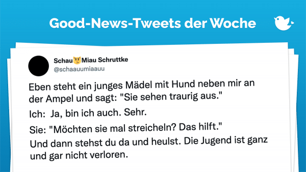 Eben steht ein junges Mädel mit Hund neben mir an der Ampel und sagt: "Sie sehen traurig aus." Ich: Ja, bin ich auch. Sehr. Sie: "Möchten sie mal streicheln? Das hilft." Und dann stehst du da und heulst. Die Jugend ist ganz und gar nicht verloren.