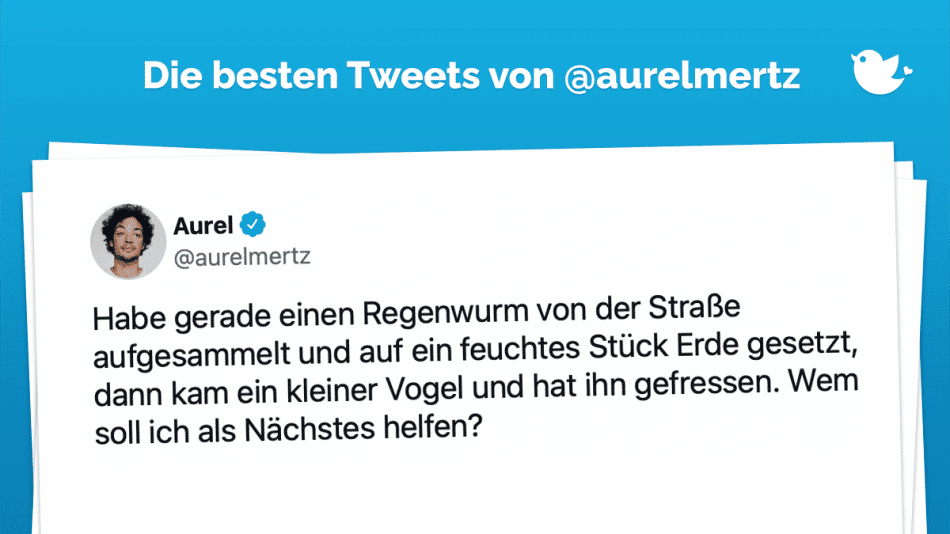 Habe gerade einen Regenwurm von der Straße aufgesammelt und auf ein feuchtes Stück Erde gesetzt, dann kam ein kleiner Vogel und hat ihn gefressen. Wem soll ich als Nächstes helfen?