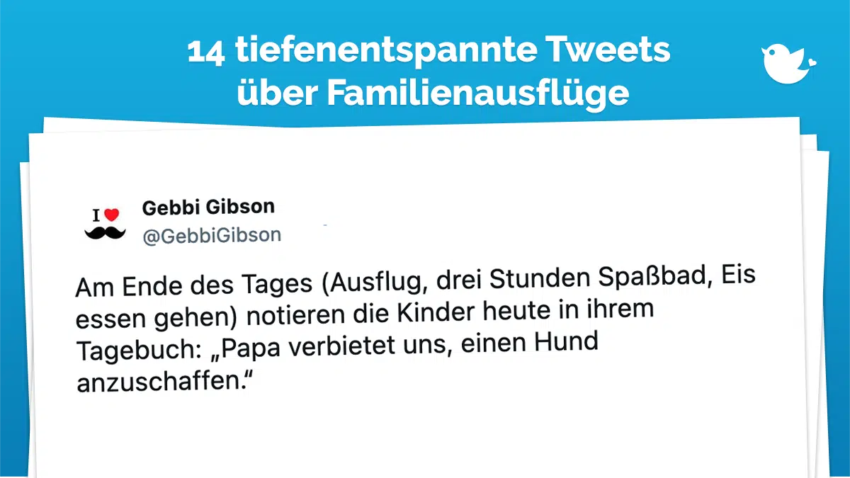 Am Ende des Tages (Ausflug, drei Stunden Spaßbad, Eis essen gehen) notieren die Kinder heute in ihrem Tagebuch: „Papa verbietet uns, einen Hund anzuschaffen.“