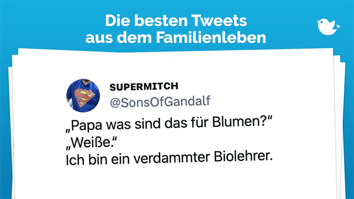 Die besten Tweets aus dem Familienleben: „Papa was sind das für Blumen?“ „Weiße.“ Ich bin ein verdammter Biolehrer.