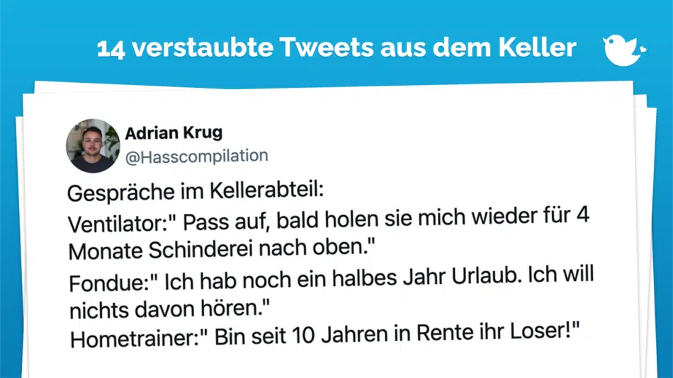 Gespräche im Kellerabteil: Ventilator:" Pass auf, bald holen sie mich wieder für 4 Monate Schinderei nach oben." Fondue:" Ich hab noch ein halbes Jahr Urlaub. Ich will nichts davon hören." Hometrainer:" Bin seit 10 Jahren in Rente ihr Loser!"