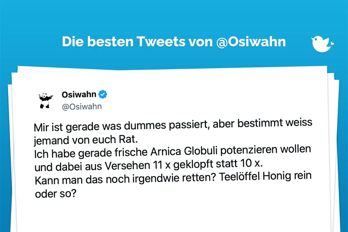 Mir ist gerade was dummes passiert, aber bestimmt weiss jemand von euch Rat. Ich habe gerade frische Arnica Globuli potenzieren wollen und dabei aus Versehen 11 x geklopft statt 10 x. Kann man das noch irgendwie retten? Teelöffel Honig rein oder so? — Osiwahn (@Osiwahn) August 18, 2023