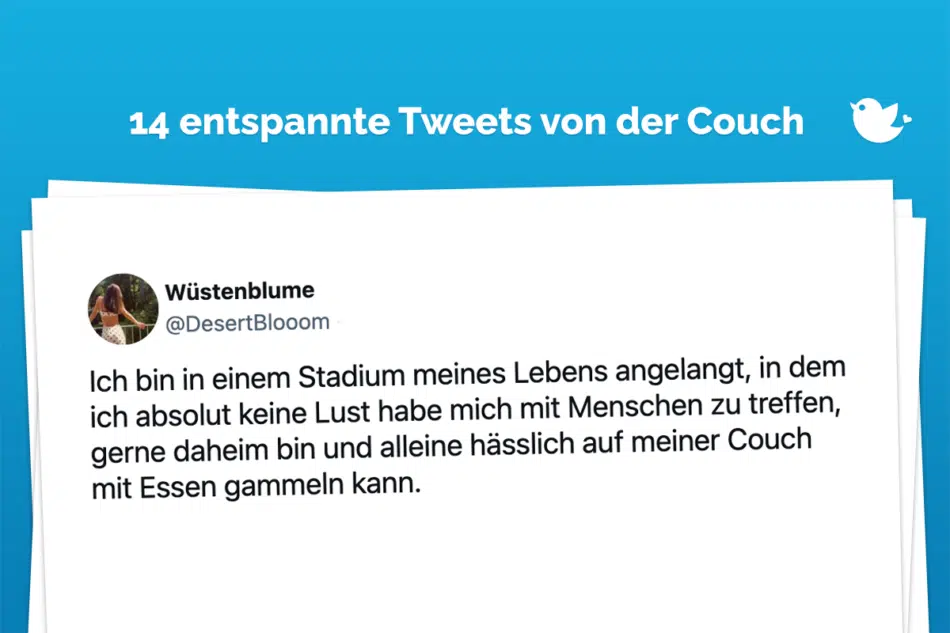Ich bin in einem Stadium meines Lebens angelangt, in dem ich absolut keine Lust habe mich mit Menschen zu treffen, gerne daheim bin und alleine hässlich auf meiner Couch mit Essen gammeln kann.