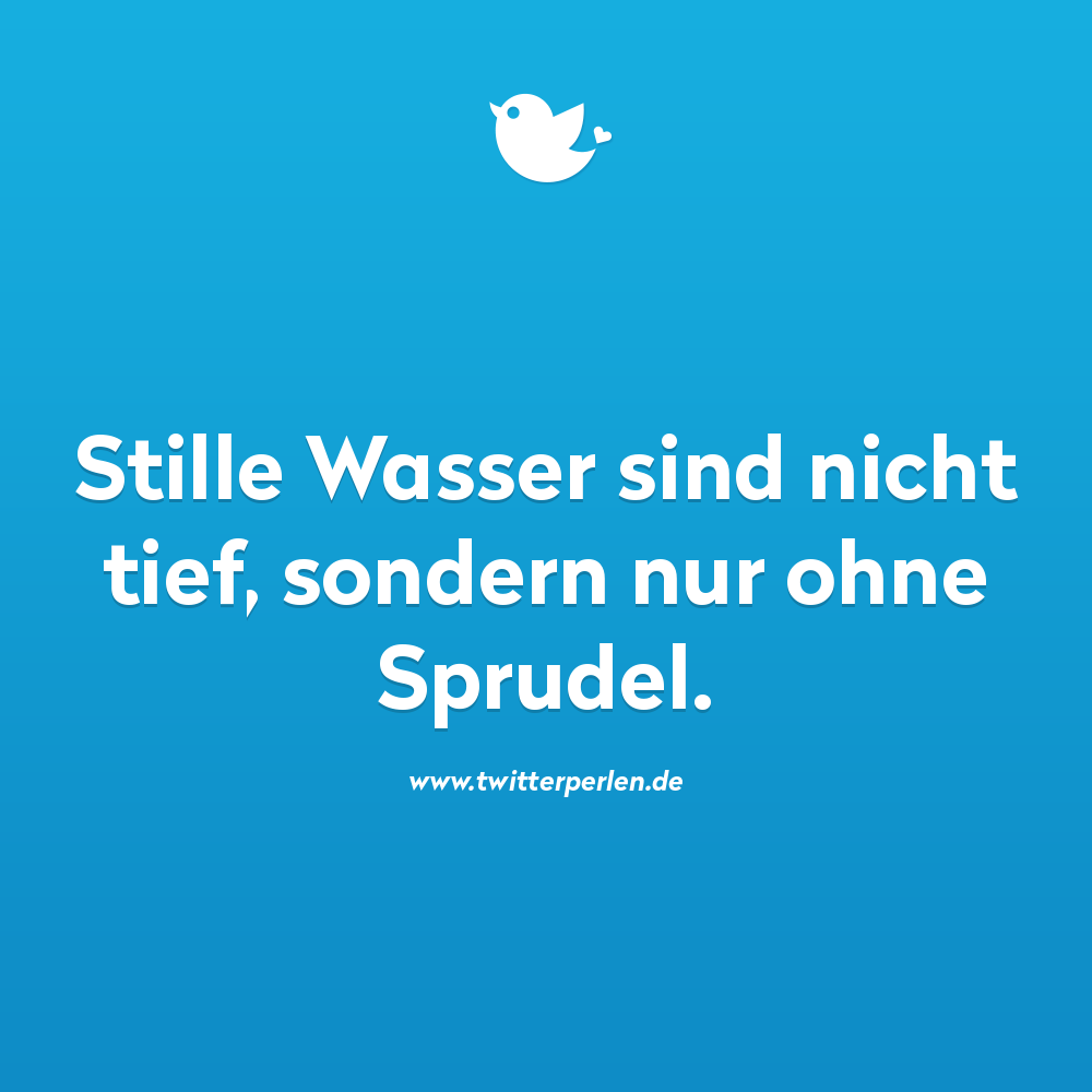 Zweideutige Sprüche: Sprüche zum Lachen & Denken: Stille Wasser sind nicht tief sondern nur ohne Sprudel.