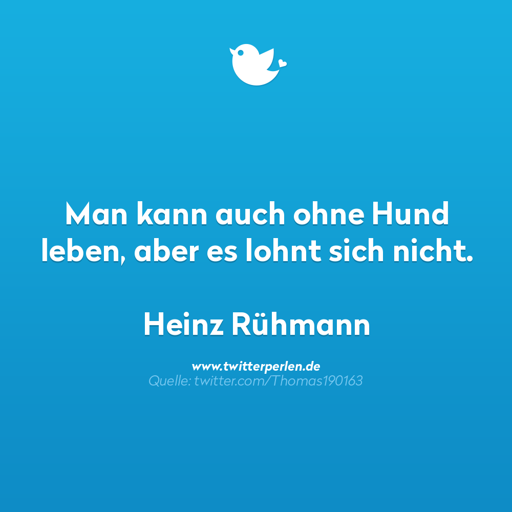 nachdenkliche sprüche:

Man kann auch ohne Hund leben, aber es lohnt sich nicht.

Heinz Rühmann