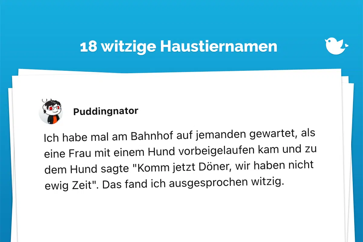 Ich habe mal am Bahnhof auf jemanden gewartet, als eine Frau mit einem Hund vorbeigelaufen kam und zu dem Hund sagte "Komm jetzt Döner, wir haben nicht ewig Zeit". Das fand ich ausgesprochen witzig.