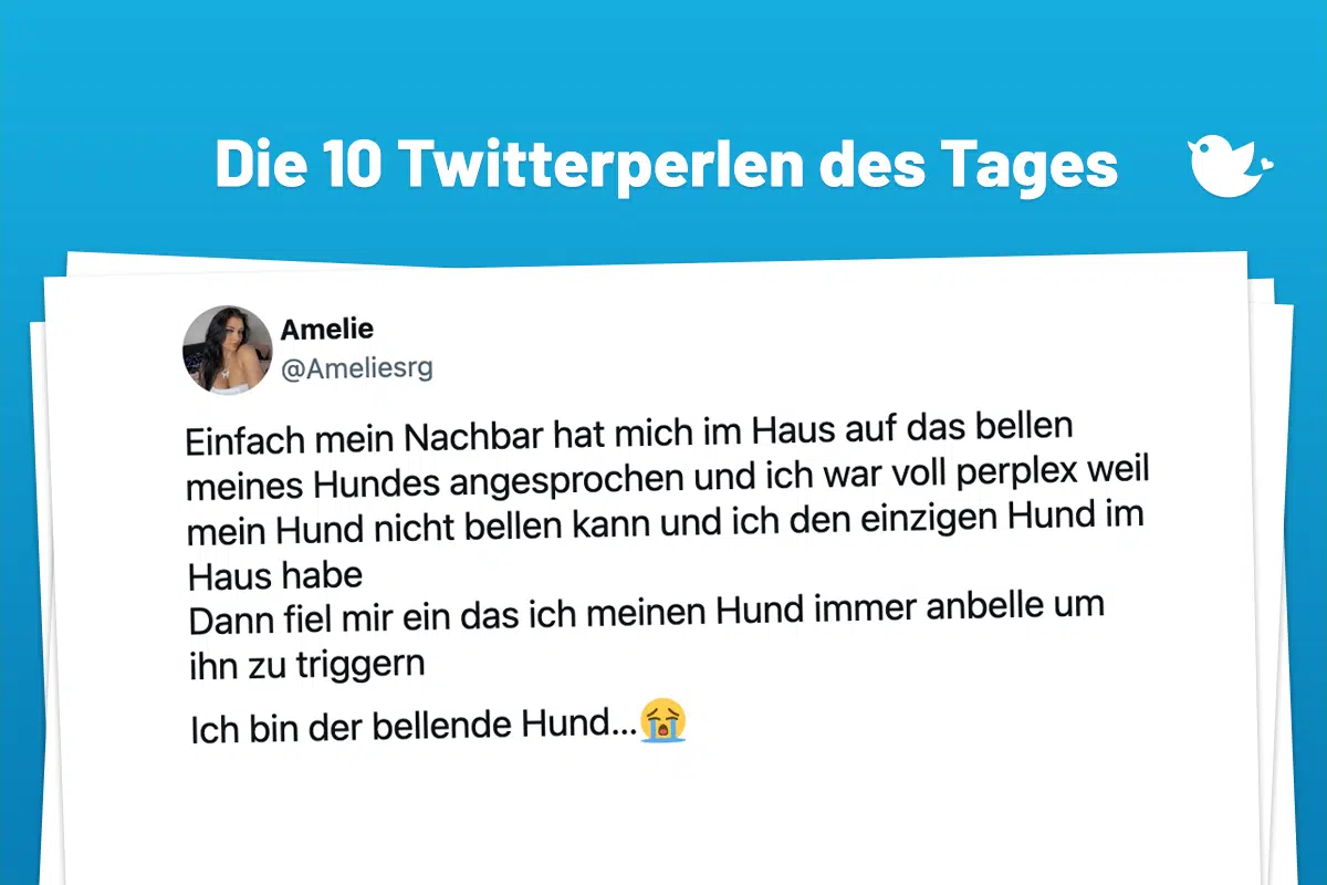 infach mein Nachbar hat mich im Haus auf das bellen meines Hundes angesprochen und ich war voll perplex weil mein Hund nicht bellen kann und ich den einzigen Hund im Haus habe Dann fiel mir ein das ich meinen Hund immer anbelle um ihn zu triggern Ich bin der bellende Hund…😭