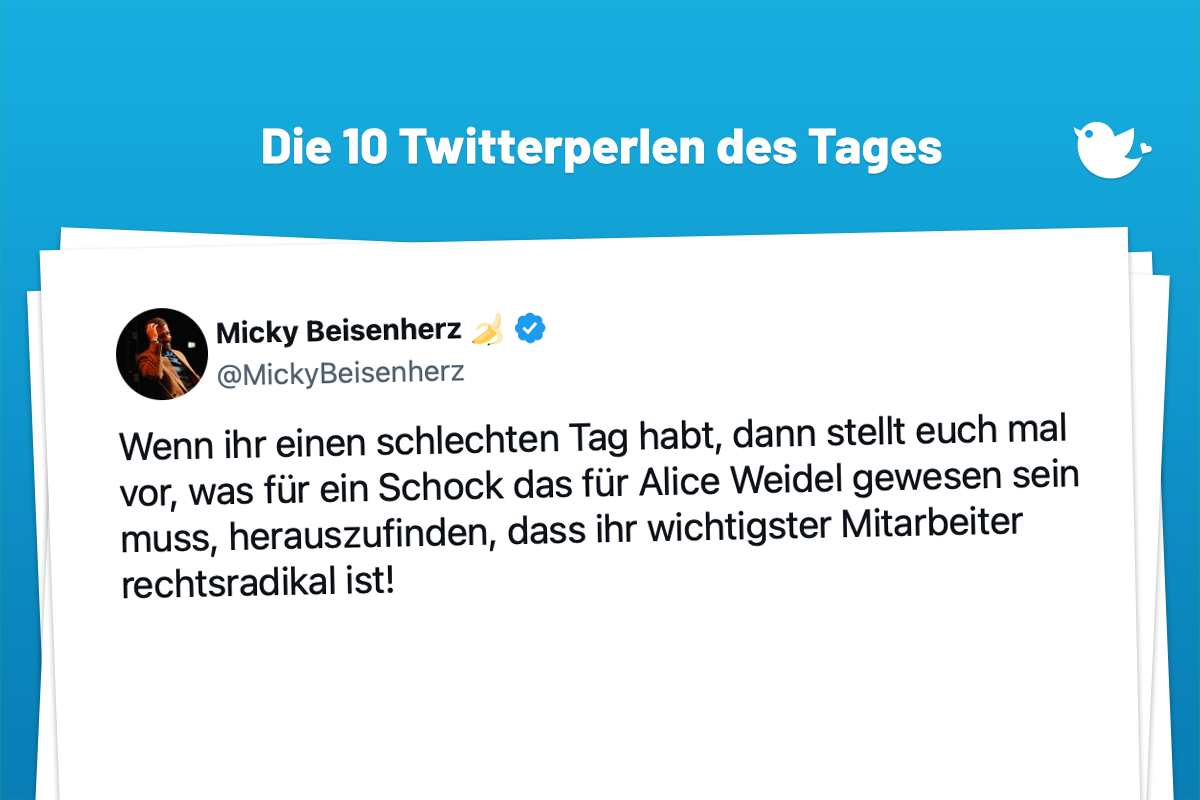 Wenn ihr einen schlechten Tag habt, dann stellt euch mal vor, was für ein Schock das für Alice Weidel gewesen sein muss, herauszufinden, dass ihr wichtigster Mitarbeiter rechtsradikal ist! — Micky Beisenherz 🍌 (@MickyBeisenherz) January 16, 2024