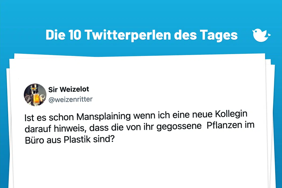 Ist es schon Mansplaining wenn ich eine neue Kollegin darauf hinweis, dass die von ihr gegossene Pflanzen im Büro aus Plastik sind?