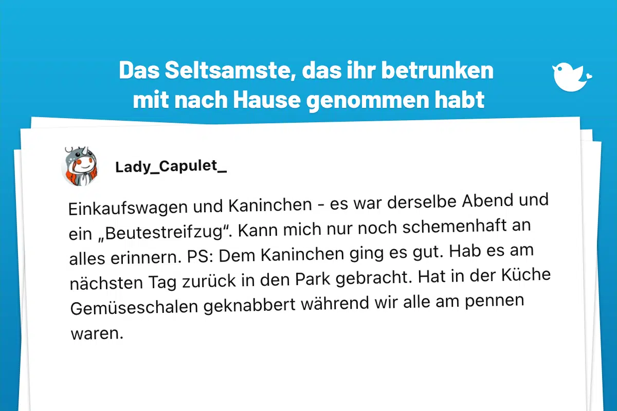 Einkaufswagen und Kaninchen - es war derselbe Abend und ein „Beutestreifzug“. Kann mich nur noch schemenhaft an alles erinnern. PS: Dem Kaninchen ging es gut. Hab es am nächsten Tag zurück in den Park gebracht. Hat in der Küche Gemüseschalen geknabbert während wir alle am pennen waren.