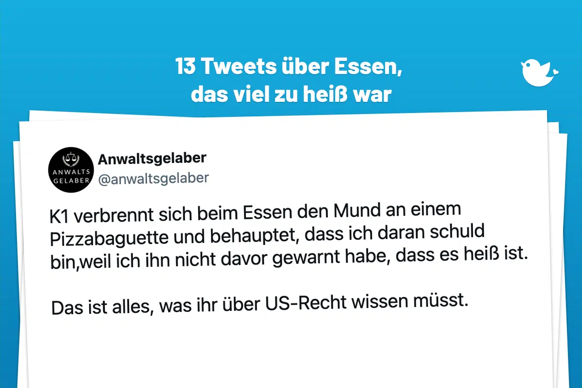 K1 verbrennt sich beim Essen den Mund an einem Pizzabaguette und behauptet, dass ich daran schuld bin,weil ich ihn nicht davor gewarnt habe, dass es heiß ist. Das ist alles, was ihr über US-Recht wissen müsst.