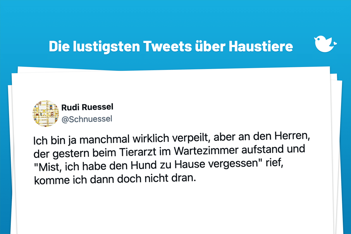 Ich bin ja manchmal wirklich verpeilt, aber an den Herren, der gestern beim Tierarzt im Wartezimmer aufstand und "Mist, ich habe den Hund zu Hause vergessen" rief, komme ich dann doch nicht dran.