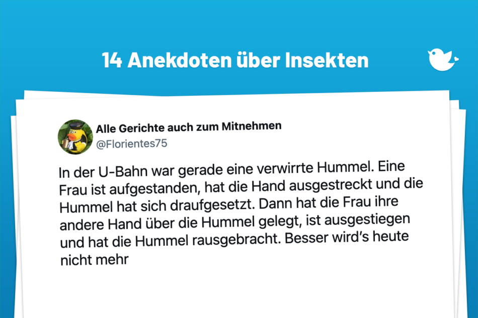In der U-Bahn war gerade eine verwirrte Hummel. Eine Frau ist aufgestanden, hat die Hand ausgestreckt und die Hummel hat sich draufgesetzt. Dann hat die Frau ihre andere Hand über die Hummel gelegt, ist ausgestiegen und hat die Hummel rausgebracht. Besser wird’s heute nicht mehr