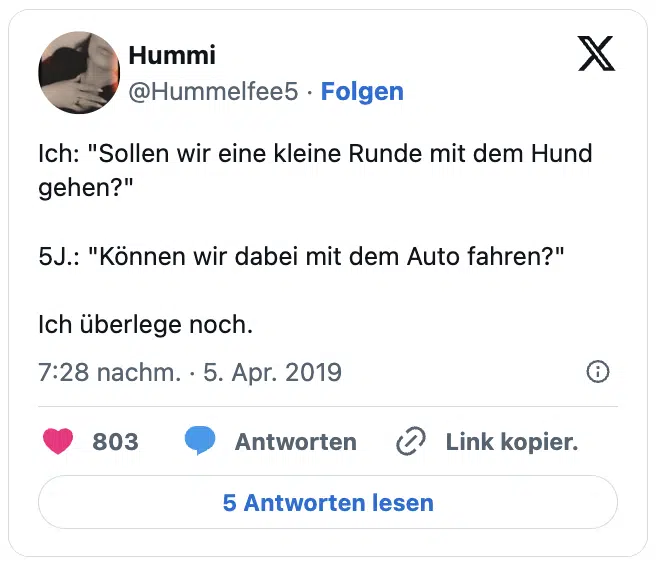 Ich: "Sollen wir eine kleine Runde mit dem Hund gehen?"

5J.: "Können wir dabei mit dem Auto fahren?"

Ich überlege noch.