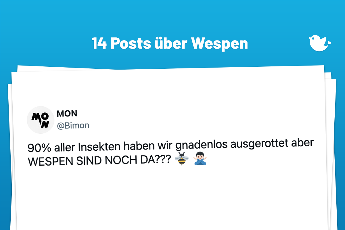 90% aller Insekten haben wir gnadenlos ausgerottet aber WESPEN SIND NOCH DA??? 🐝 🙅🏻♂️