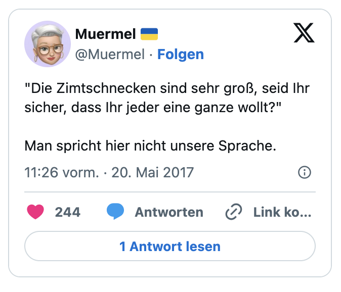 "Die Zimtschnecken sind sehr groß, seid Ihr sicher, dass Ihr jeder eine ganze wollt?" 

Man spricht hier nicht unsere Sprache.