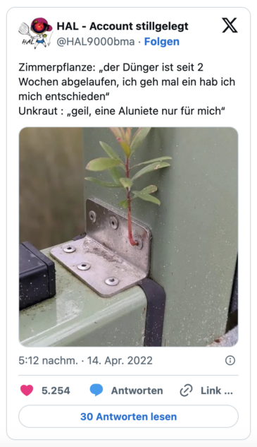 Zimmerpflanze: „der Dünger ist seit 2 Wochen abgelaufen, ich geh mal ein hab ich mich entschieden“
Unkraut : „geil, eine Aluniete nur für mich“