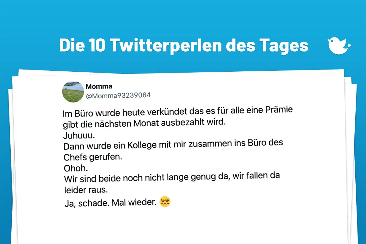 Im Büro wurde heute verkündet das es für alle eine Prämie gibt die nächsten Monat ausbezahlt wird. Juhuuu. Dann wurde ein Kollege mit mir zusammen ins Büro des Chefs gerufen. Ohoh. Wir sind beide noch nicht lange genug da, wir fallen da leider raus. Ja, schade. Mal wieder. 😵💫