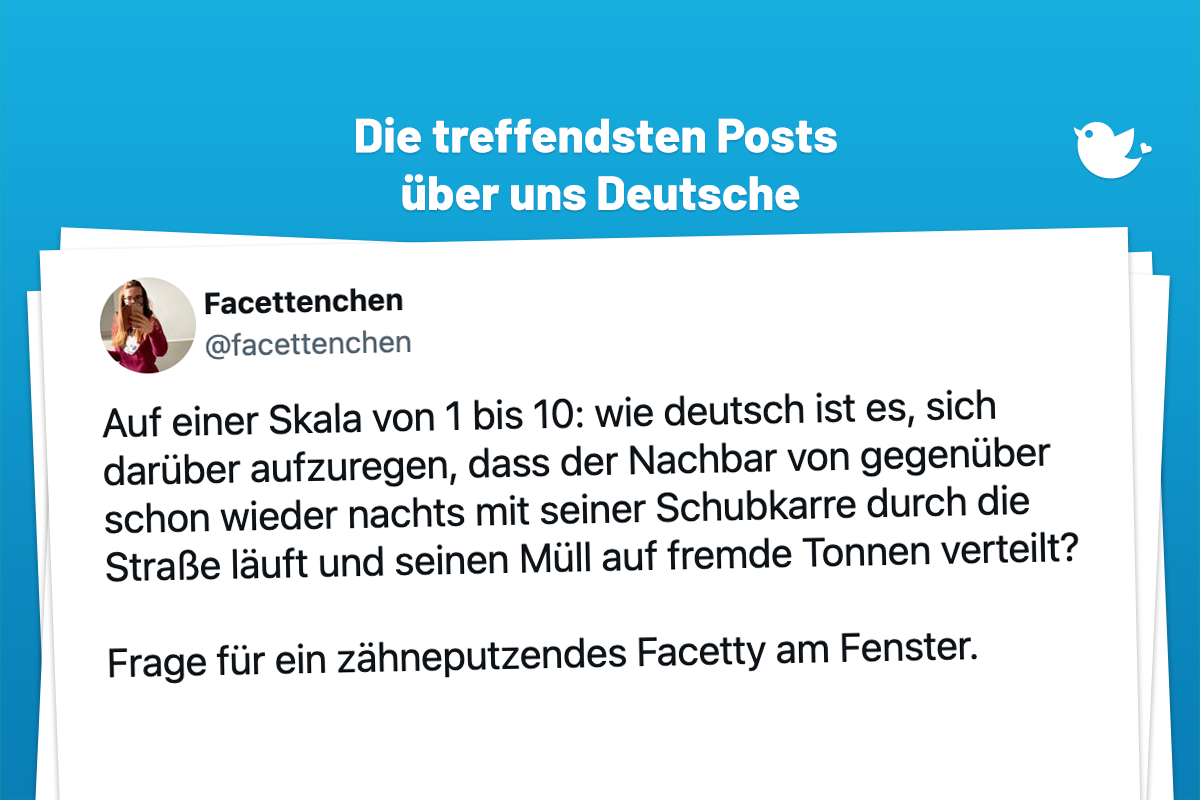 Auf einer Skala von 1 bis 10: wie deutsch ist es, sich darüber aufzuregen, dass der Nachbar von gegenüber schon wieder nachts mit seiner Schubkarre durch die Straße läuft und seinen Müll auf fremde Tonnen verteilt? Frage für ein zähneputzendes Facetty am Fenster.
