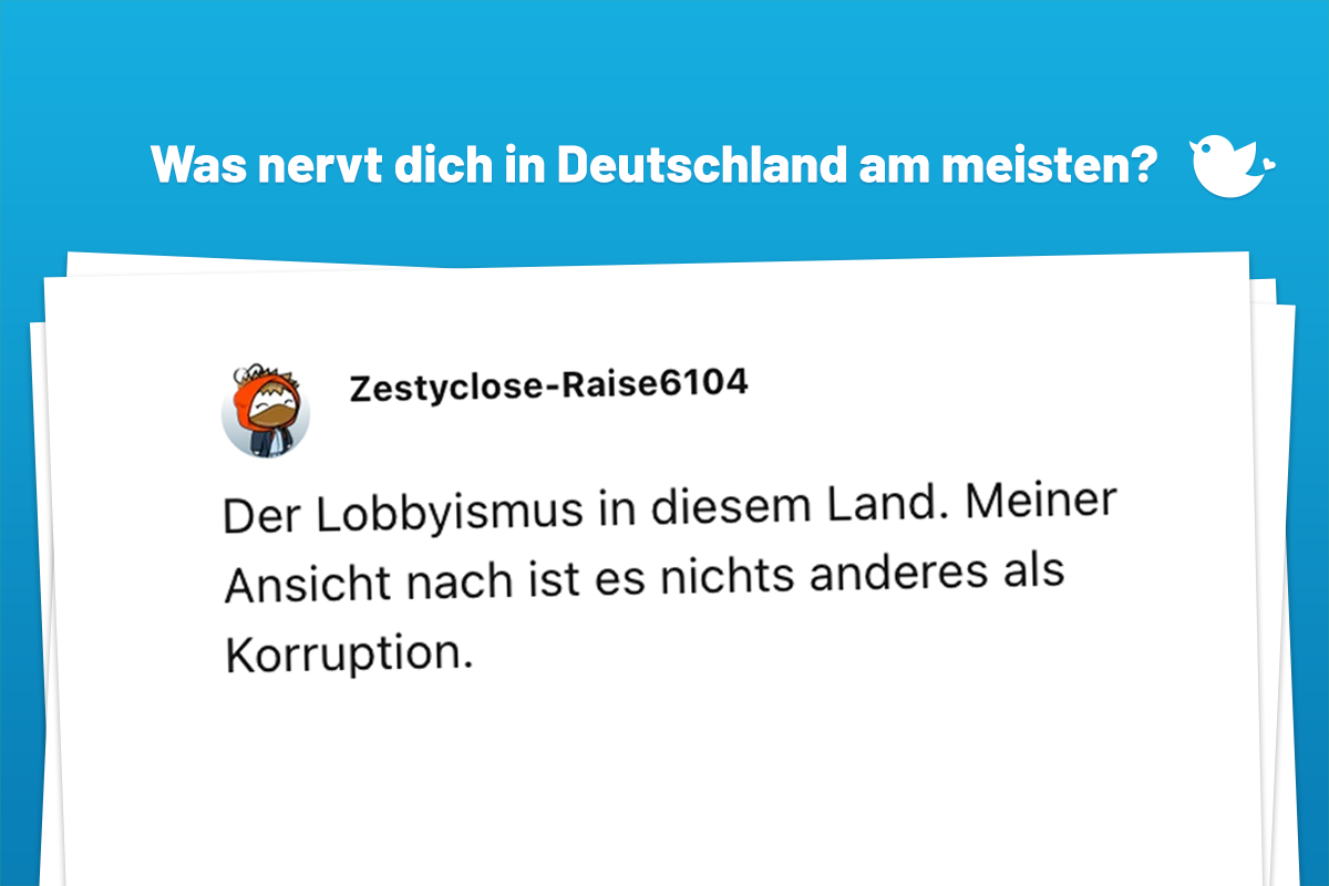 Der Lobbyismus in diesem Land. Meiner Ansicht nach ist es nichts anderes als Korruption.