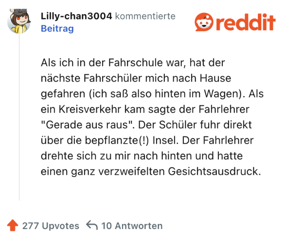 Als ich in der Fahrschule war, hat der nächste Fahrschüler mich nach Hause gefahren (ich saß also hinten im Wagen). Als ein Kreisverkehr kam sagte der Fahrlehrer "Gerade aus raus". Der Schüler fuhr direkt über die bepflanzte(!) Insel. Der Fahrlehrer drehte sich zu mir nach hinten und hatte einen ganz verzweifelten Gesichtsausdruck.