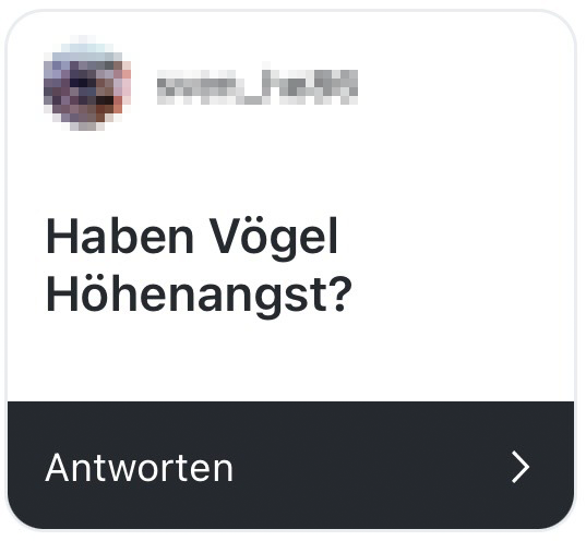 haben vögel höhenangst?