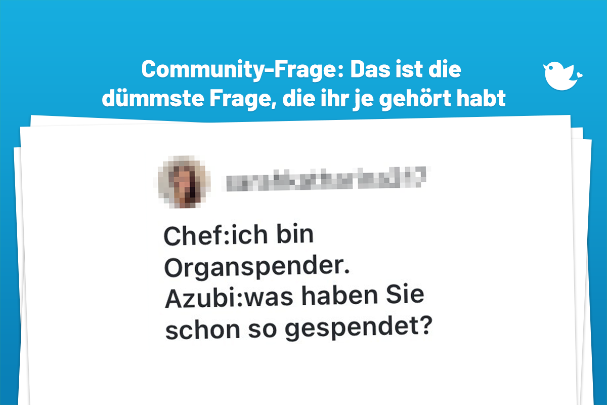 Chef: Ich bin Organspender. Azubi: Was haben sie denn schon so gespendet?