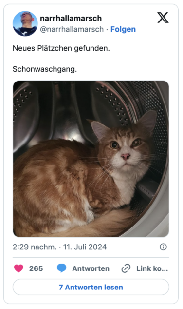 Neues Plätzchen gefunden. 

Schonwaschgang.