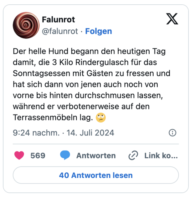 Der helle Hund begann den heutigen Tag damit, die 3 Kilo Rindergulasch für das Sonntagsessen mit Gästen zu fressen und hat sich dann von jenen auch noch von vorne bis hinten durchschmusen lassen, während er verbotenerweise auf den Terrassenmöbeln lag. 🙄
