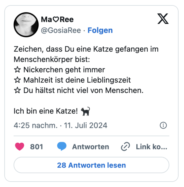 Zeichen, dass Du eine Katze gefangen im Menschenkörper bist:
☆ Nickerchen geht immer
☆ Mahlzeit ist deine Lieblingszeit
☆ Du hältst nicht viel von Menschen.

Ich bin eine Katze! 🐈‍⬛