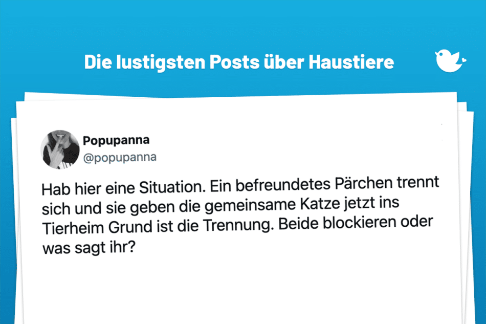 Hab hier eine Situation. Ein befreundetes Pärchen trennt sich und sie geben die gemeinsame Katze jetzt ins Tierheim Grund ist die Trennung. Beide blockieren oder was sagt ihr?