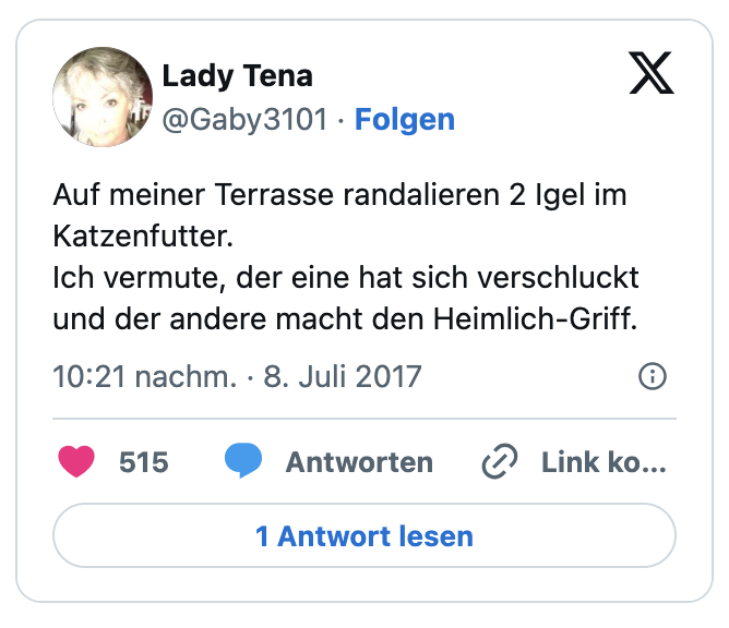Auf meiner Terrasse randalieren 2 Igel im Katzenfutter. 
Ich vermute, der eine hat sich verschluckt und der andere macht den Heimlich-Griff.