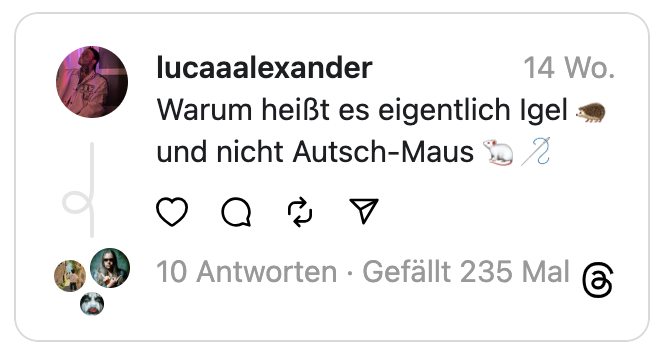 Warum heißt es eigentlich Igel 🦔
und nicht Autsch-Maus 🐁 🪡