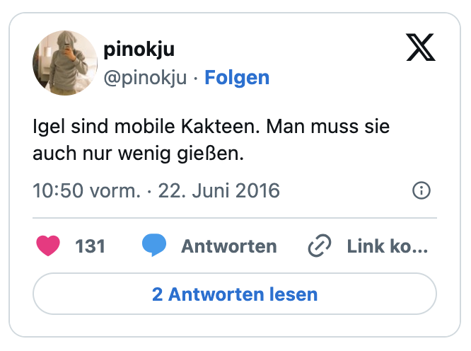 Igel sind mobile Kakteen. Man muss sie auch nur wenig gießen.
