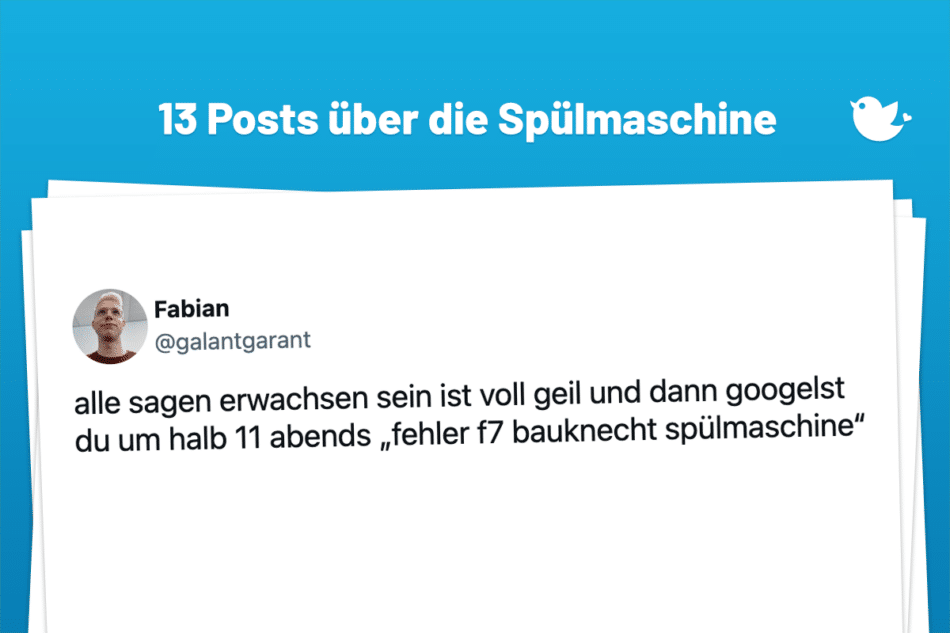 alle sagen erwachsen sein ist voll geil und dann googelst du um halb 11 abends „fehler f7 bauknecht spülmaschine“