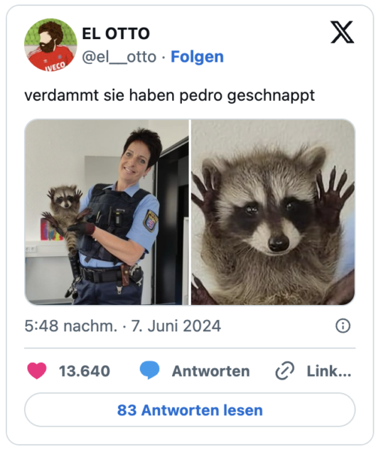 verdammt sie haben pedro geschnappt pic.twitter.com/6gOJaOmdVb
— EL OTTO (@el__otto)
