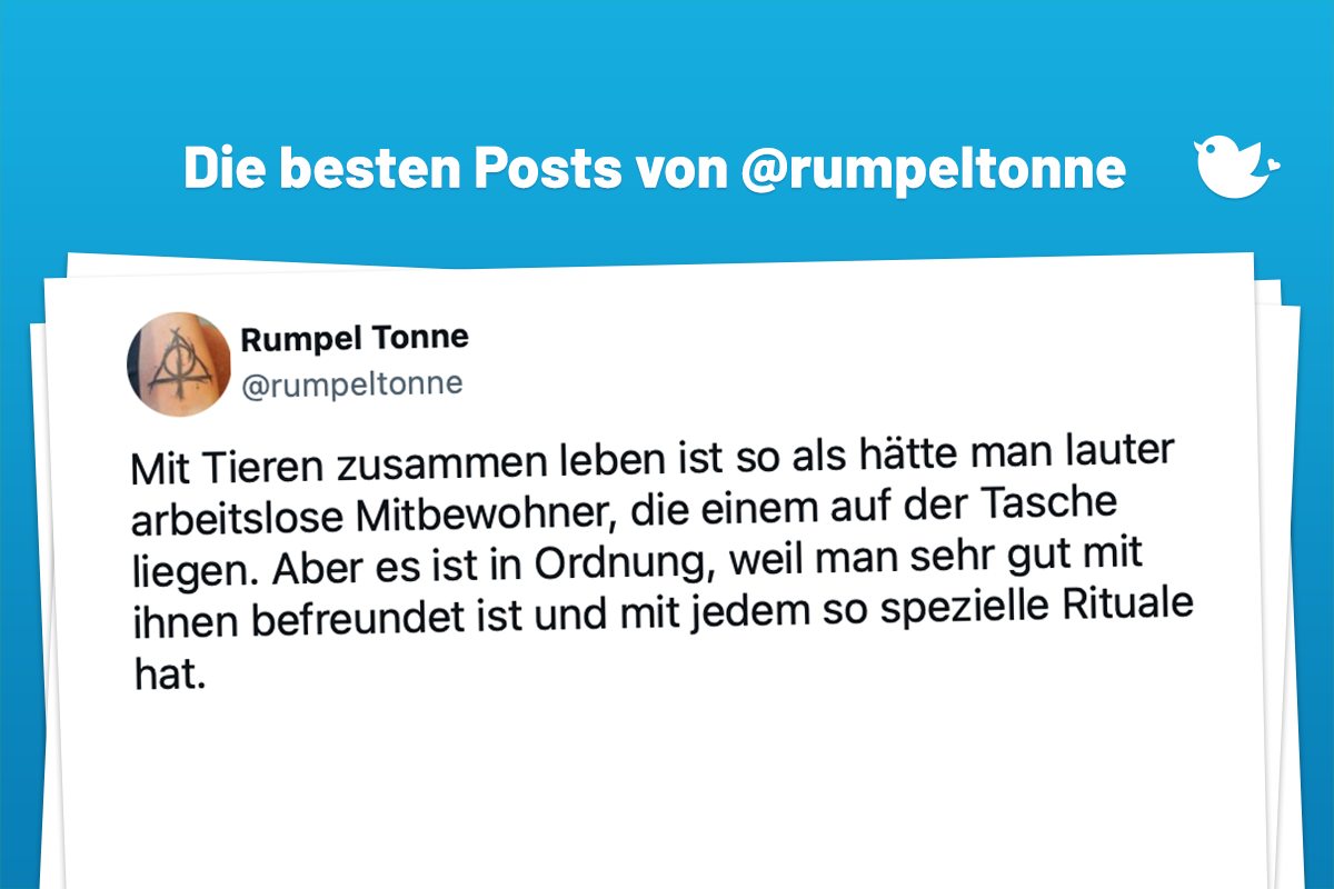 Mit Tieren zusammen leben ist so als hätte man lauter arbeitslose Mitbewohner, die einem auf der Tasche liegen. Aber es ist in Ordnung, weil man sehr gut mit ihnen befreundet ist und mit jedem so spezielle Rituale hat. — Rumpel Tonne (@rumpeltonne)