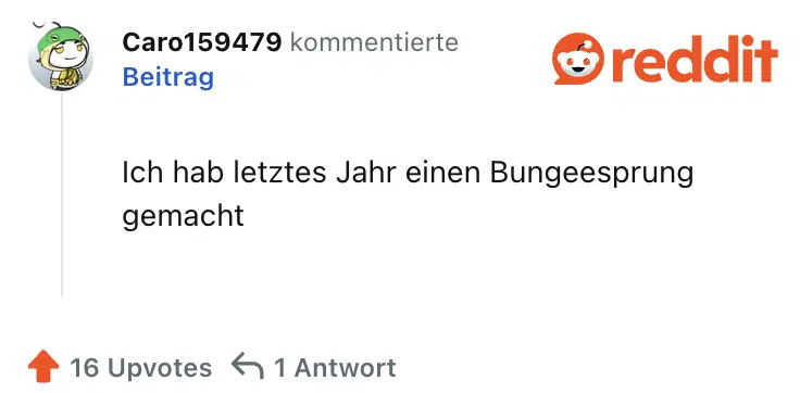 Ich hab letztes Jahr einen Bungeesprung gemacht