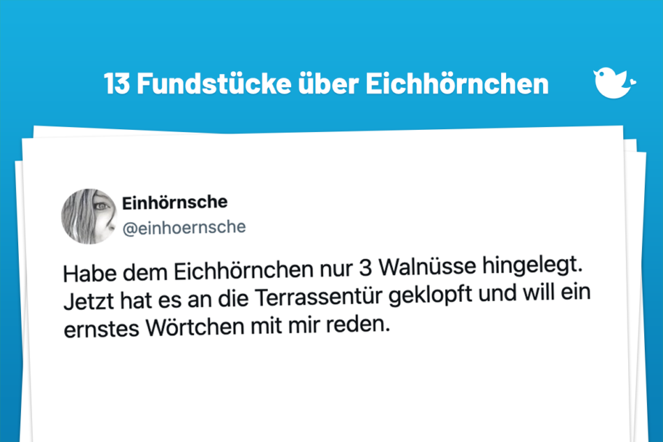 Habe dem Eichhörnchen nur 3 Walnüsse hingelegt. Jetzt hat es an die Terrassentür geklopft und will ein ernstes Wörtchen mit mir reden.